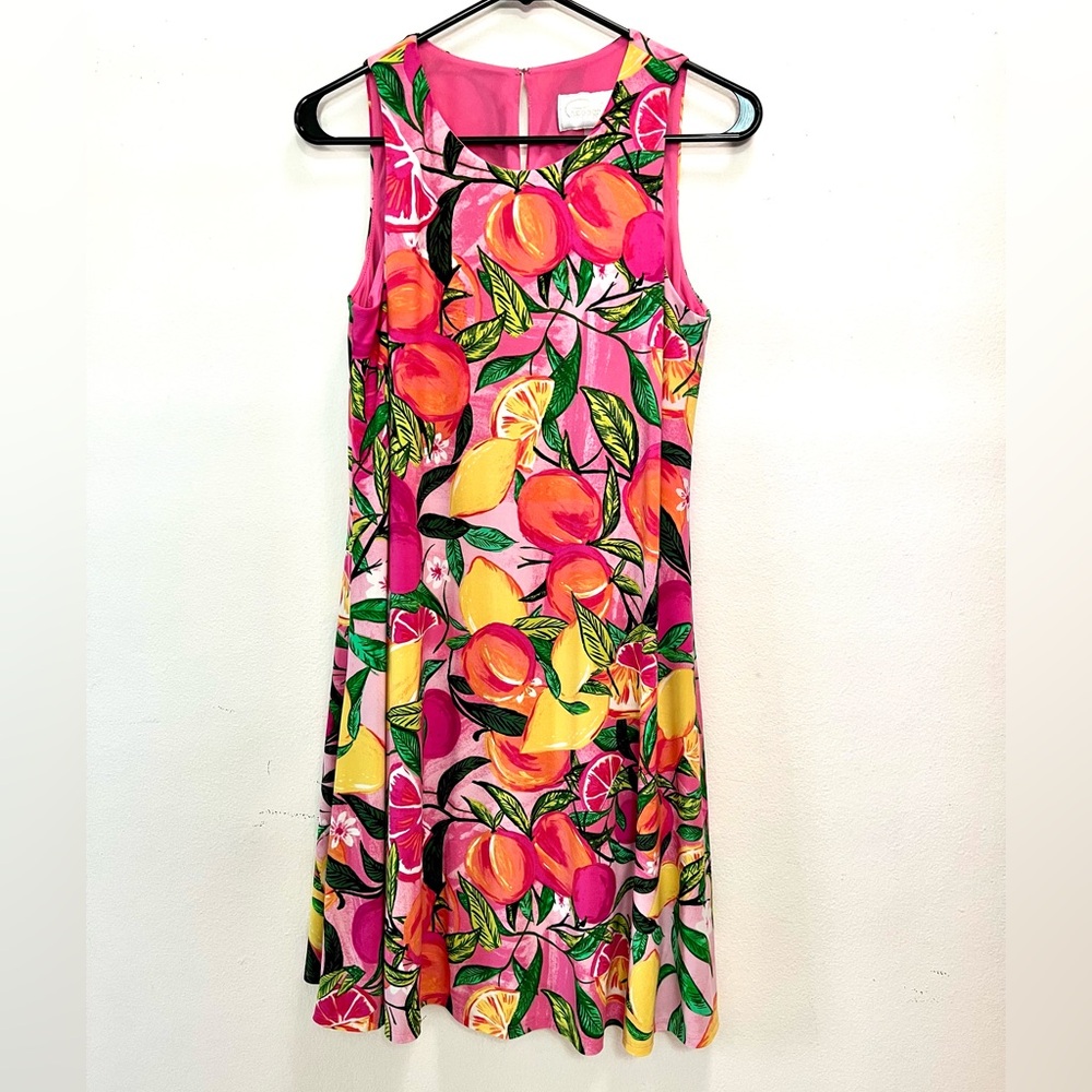 NWOT Capagallo Sleeveless Fruit Dress / Size Small